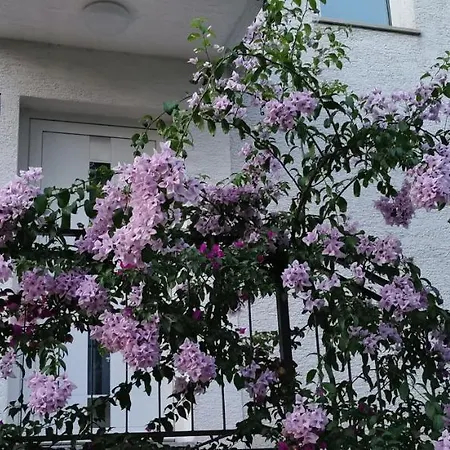 Apartman Perunika Selce Esterno foto